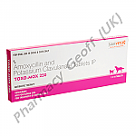 TOXO-MOX 250 (Amoxycillin/Potassium Clavulanate) - 200mg/50mg (10 Tablets)